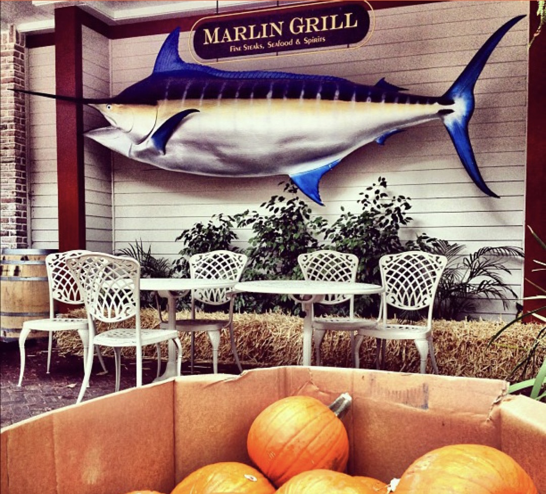 MarlinGrill's tweet photo. Feelin' spooky 🎃 at Marlin Grill! Happy October 1 🍁

#MarlinGrill #Sandestin #Florida #Spooky #October #Pumpkin #EatLocal #FineDining https://t.co/QoEqjW88tg