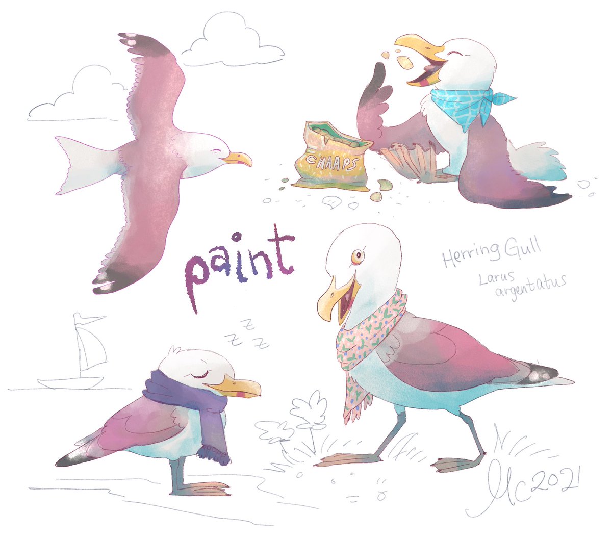 paintseagull's tweet photo. a pinned tweet ~ hi, i’m a hobby artist, pokemon nerd, and enjoyer of games! find me hanging out on twitch and discord and making fanart! https://t.co/IXnD8sVndY