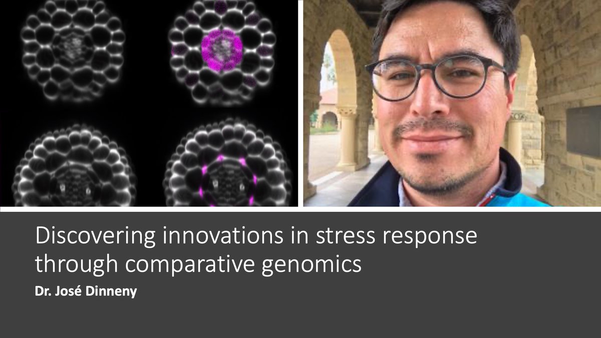 SMBPlant's tweet photo. No te pierdas al Dr. José Dinneny @JoseDinneny, "Discovering innovations in stress response through comparative genomics", en el congreso de la @SmbMex y la @ASPB @ASPB_Mexico 

100% gratis. 8-11 noviembre de 2021 https://t.co/vsCBpzC0Qy #SMBPlant2021🌵��🇽 https://t.co/rBxtYrtcd1