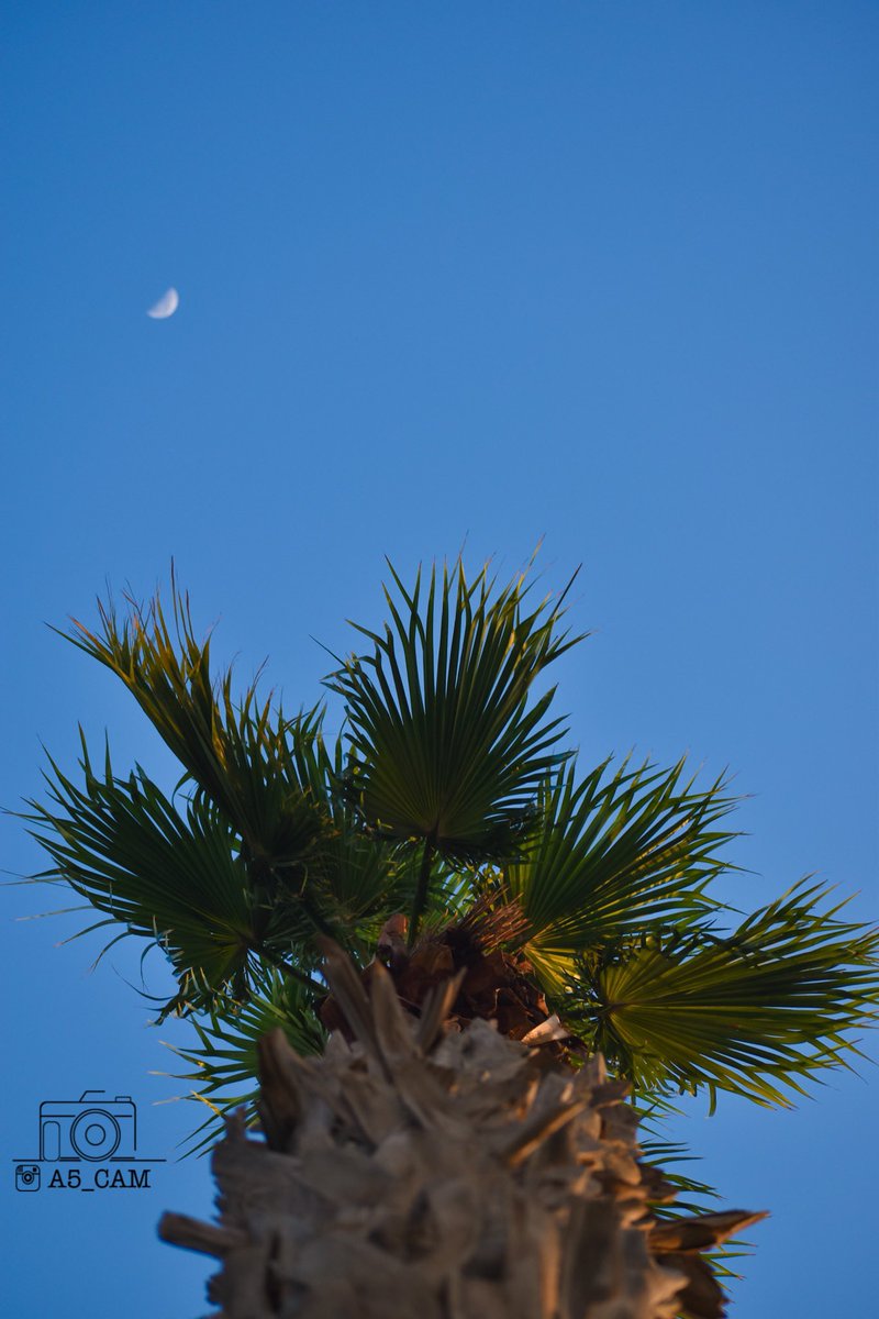 A5_Cam's tweet photo. لـ النظر متعة 

نرجوا أن تنال الصور على إعجابكم🤍.

#مصور_فتوغرافي #الجبيل #الشرقية 
@jubail_News @aljubailtoday1 https://t.co/FlOzOnADNY