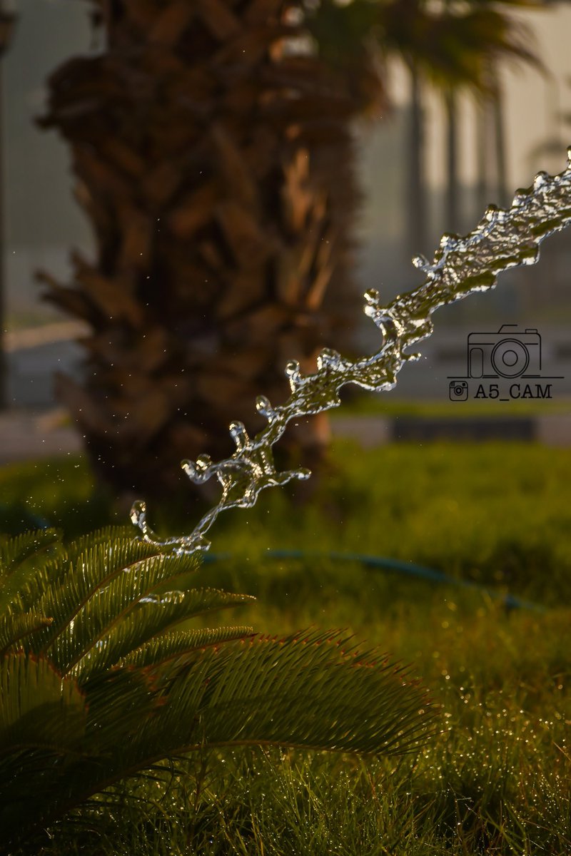 A5_Cam's tweet photo. لـ النظر متعة 

نرجوا أن تنال الصور على إعجابكم🤍.

#مصور_فتوغرافي #الجبيل #الشرقية 
@jubail_News @aljubailtoday1 https://t.co/FlOzOnADNY