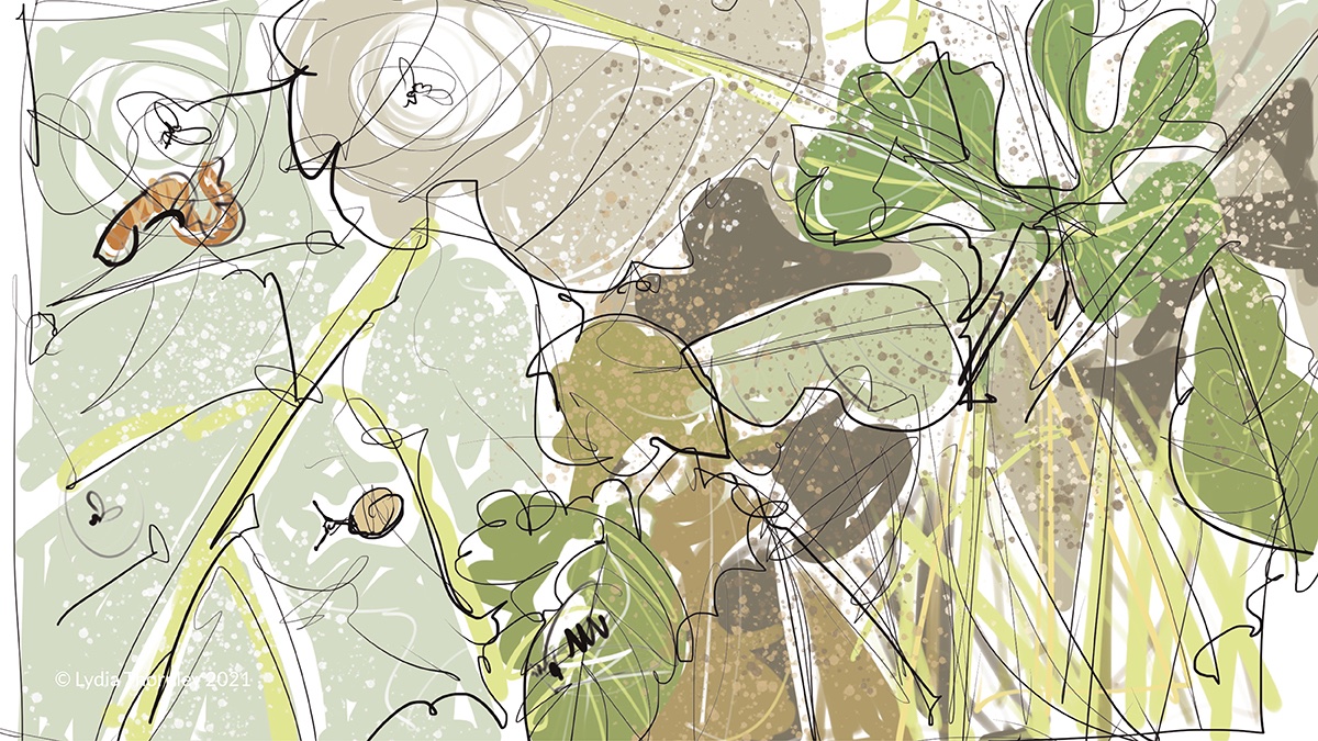 26characters's tweet photo. You will hold your breath as you read this masterful, tender villanelle about an urban garden by @sineadkeegan in today's #26Pledges. Beautifully illustrated by @lydiathornley @WildlifeTrusts @PoetryDayUK #NationalPoetryDay @WildLondon https://t.co/k1j0VqDMQJ https://t.co/u5vq5ClCnu
