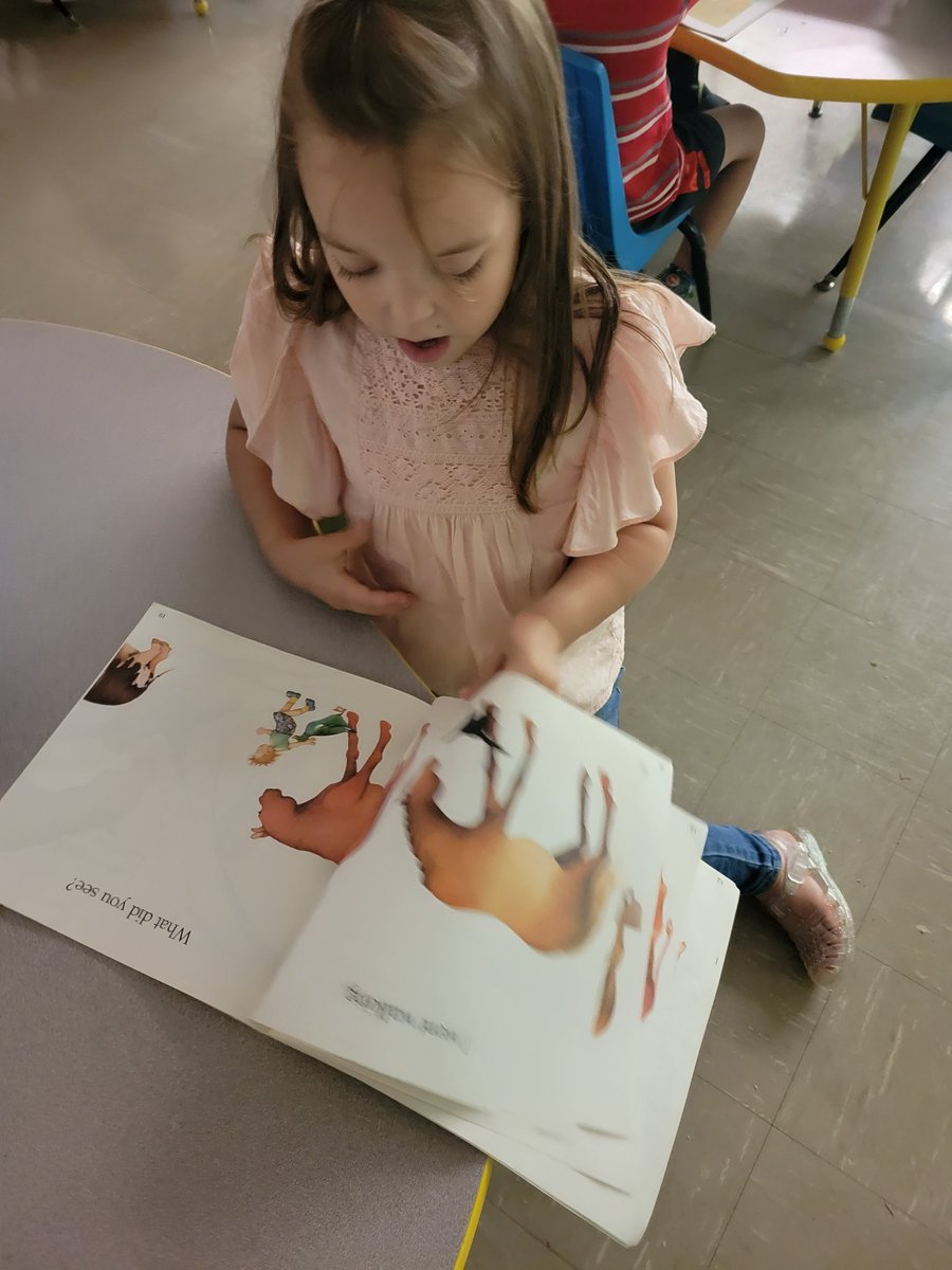 Miss McCabe tweet media