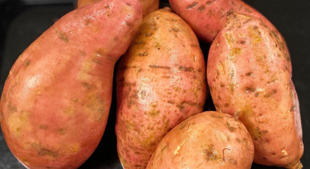 Marshall County CNP tweet media