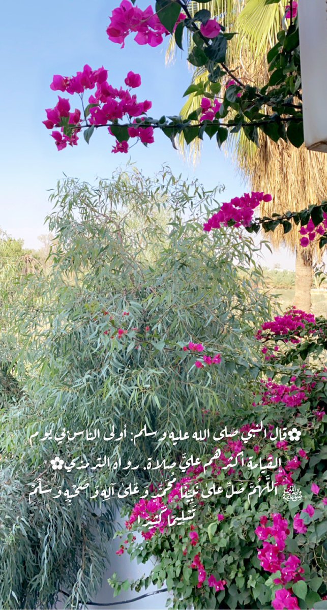 HamoudSamiah's tweet image. 