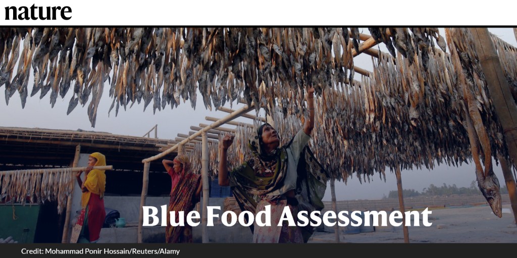 Image of three women standing under large racks with thousands of fish hanging to dry. The words "Blue Food Assessment" are overlaid atop the photo.