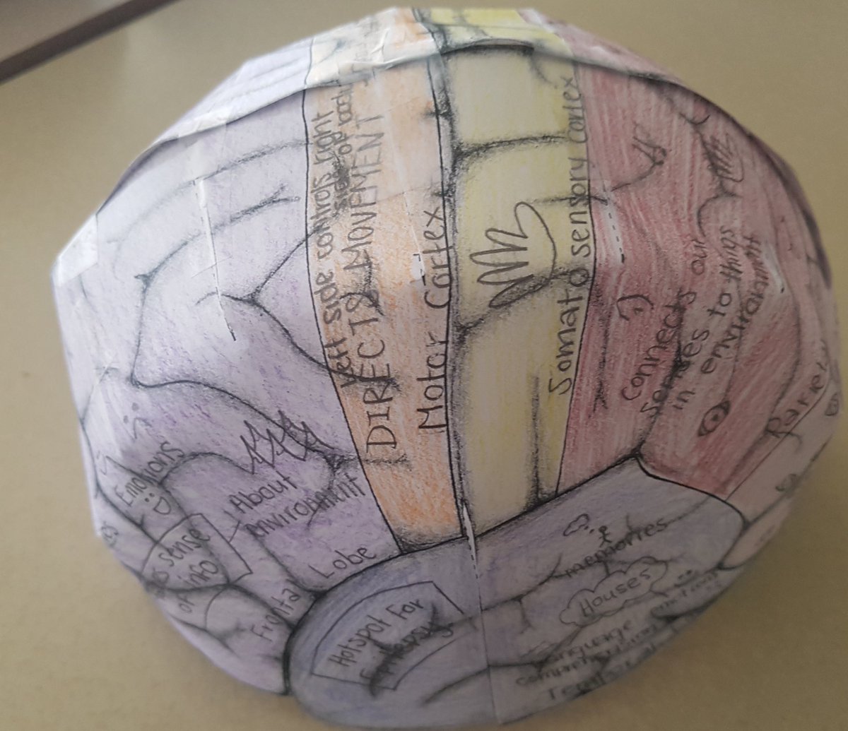 ArthurVoaden's tweet photo. Intro to psychology class learned about parts of the brain today by making  brain hats.  Don’t tell Frankenstein about this…🤫 @Jenny_Mayer @TVDSB https://t.co/wJoFPXWoWZ
