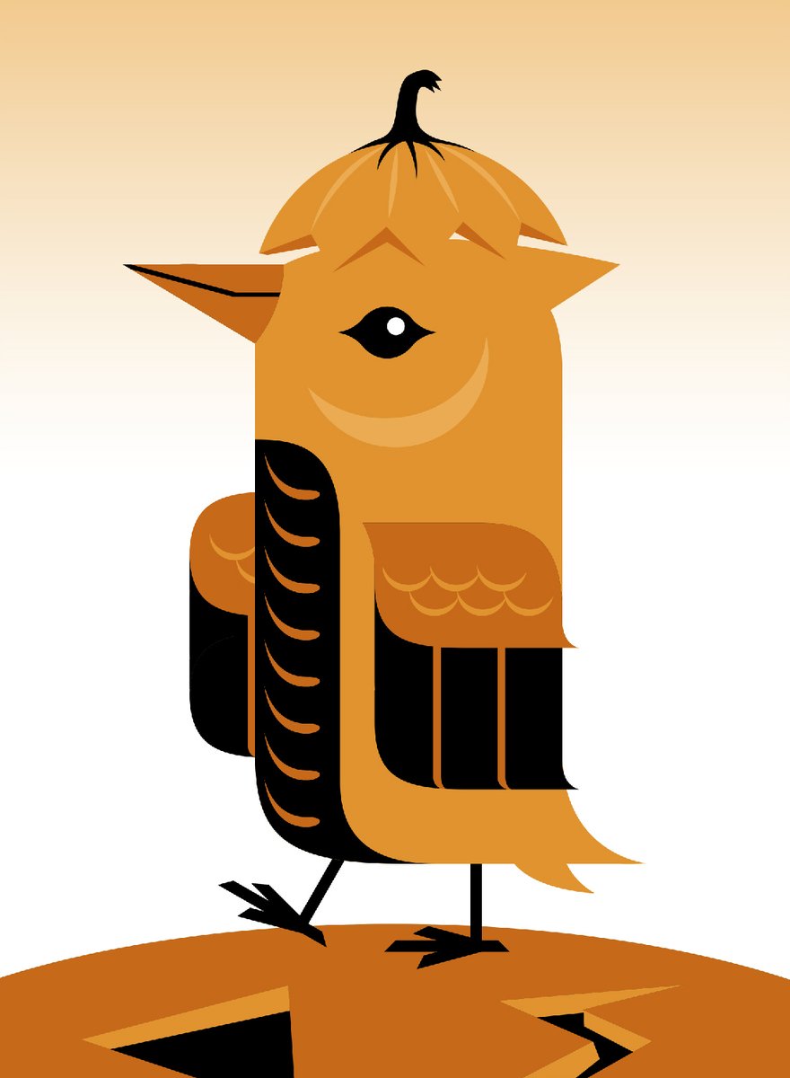 BirdTopical's tweet photo. Happy October https://t.co/IbcdwOMdV2