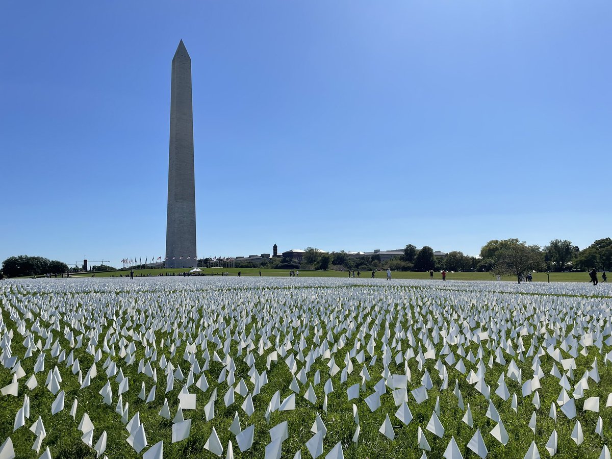 650,000 flags representing COVID deaths.  #COVID19 #GetVaccinated