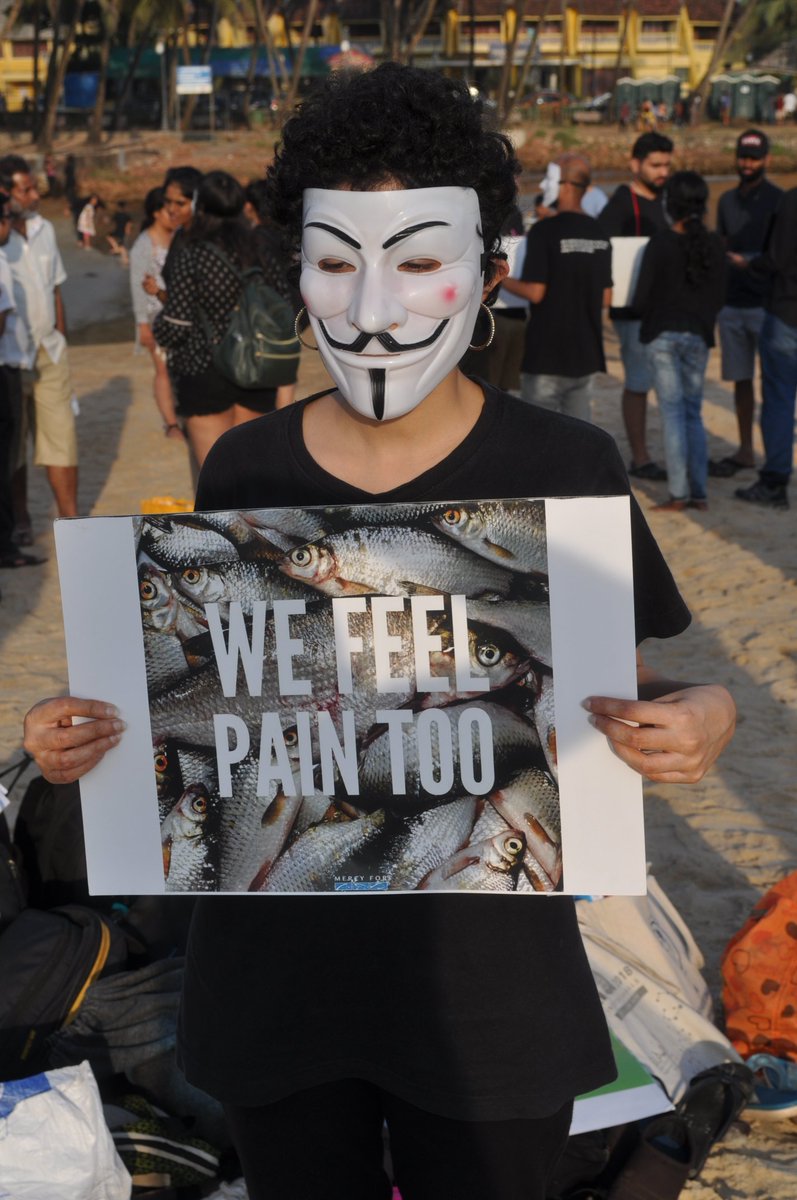 VeganIndiaMovt's tweet photo. Fish often live in complex social groups, use tools, and like other farmed animals, exhibit signs of anxiety and pain. They don't want to suffer, they don't want to be killed. Leave fish off your plate. 
#IAmMeNotMeat
#WorldVegetarianDay
#GoVegan https://t.co/NqBoTfWaSN