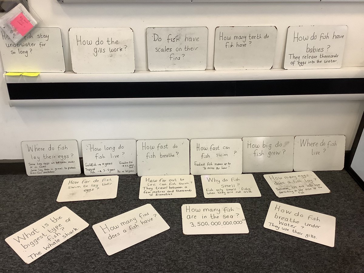 MDanceStAnnes's tweet photo. Year 1 are all able to identify the main features of a fish and we now know the function of each feature. After handling real fish we had so many questions. We then researched to answer some of them. @StAnnes_EHS @KWarehamStAnnes @BPooleStAnnes #wearestannes https://t.co/FYd6qghIQp