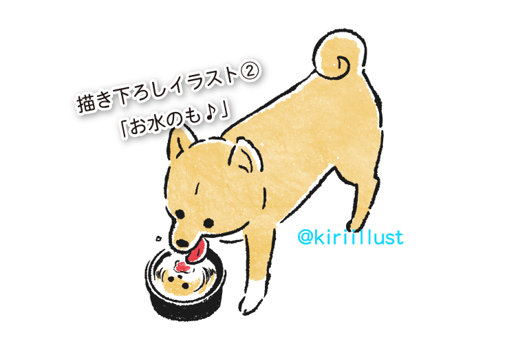 (3)「お水のも♪」
飼い主が大好きな、水飲み皿にうつった顔がかわいい時のイラスト
この顔たまらん・・・ 
