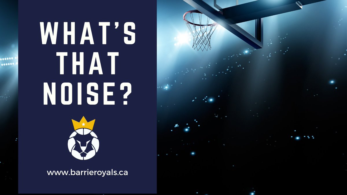 TheBarrieRoyals's tweet photo. The 2021 basketball season is here, and we're ready!  
#BarrieRoyals #Barrie #Basketball https://t.co/lCoEkUtLOE