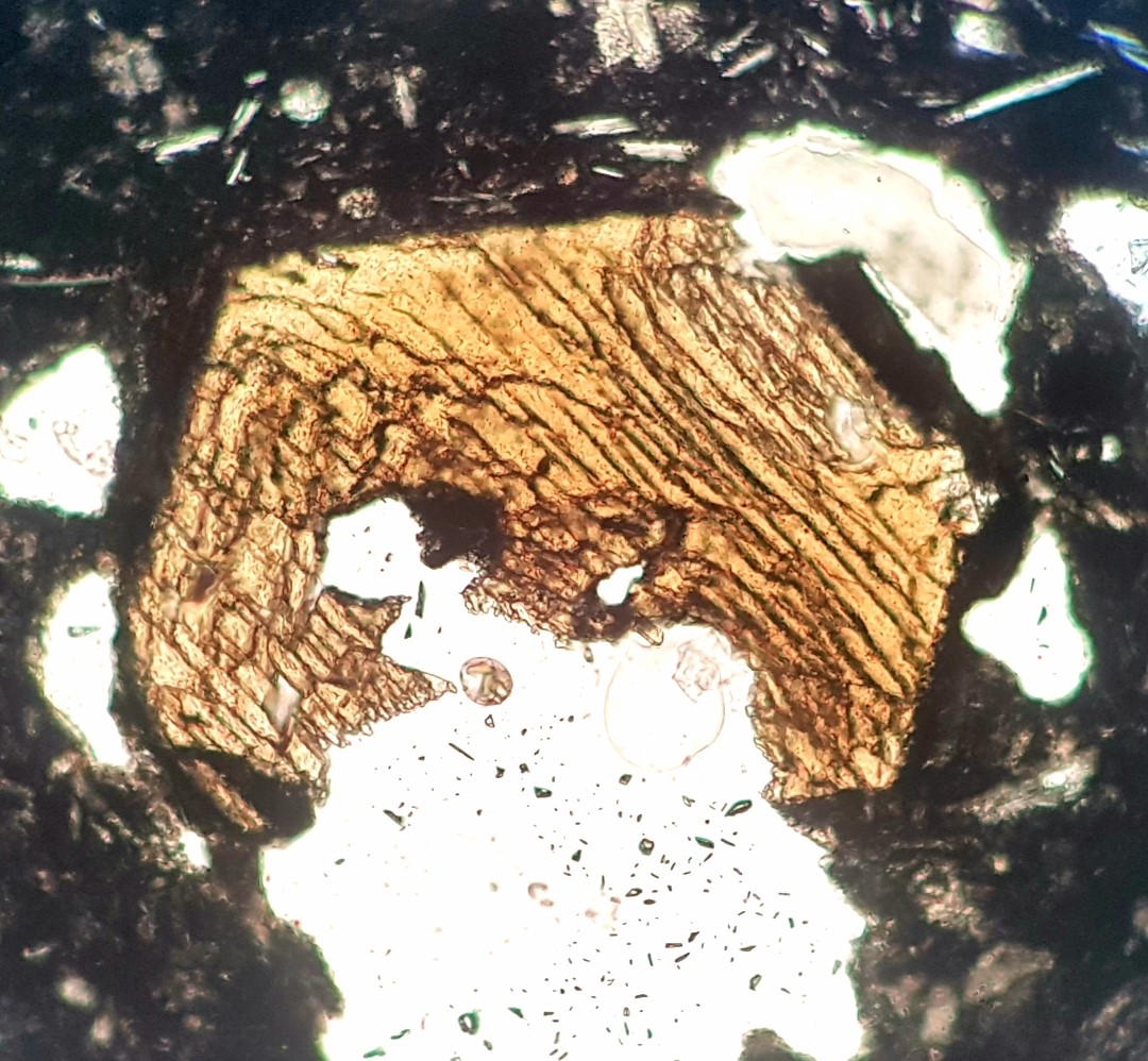 geologicasUCM's tweet photo. First petrographic results of the #LaPalmaEruption analysed by the #Vulcanism Research Group @unicomplutense @urjc, in collaboration with @IGME1849. The rock is an amphibole pyroxene tephrite. https://t.co/HqAd42f56F