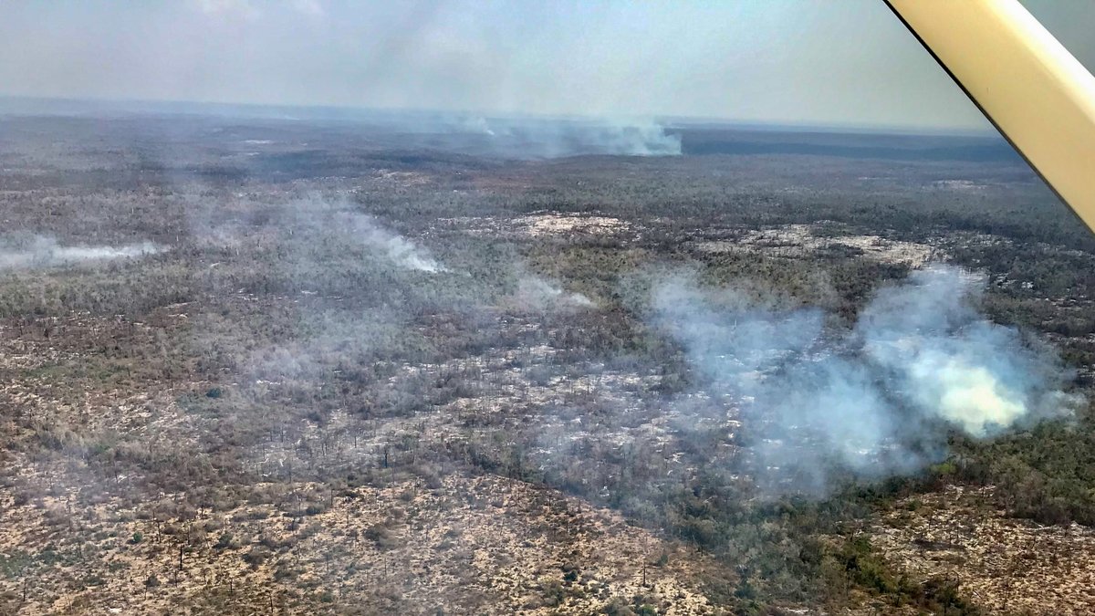 A jewel of #Madagascar &amp; biodiversity being destroyed before our eyes. 
Collective horror at seeing ongoing deforestation when over-flying #Menabe Antimena Protected Area, including renown Kirindy Forest, with 🇲🇬 Ministers, local officials &amp; diplomatic colleagues last week. 1/