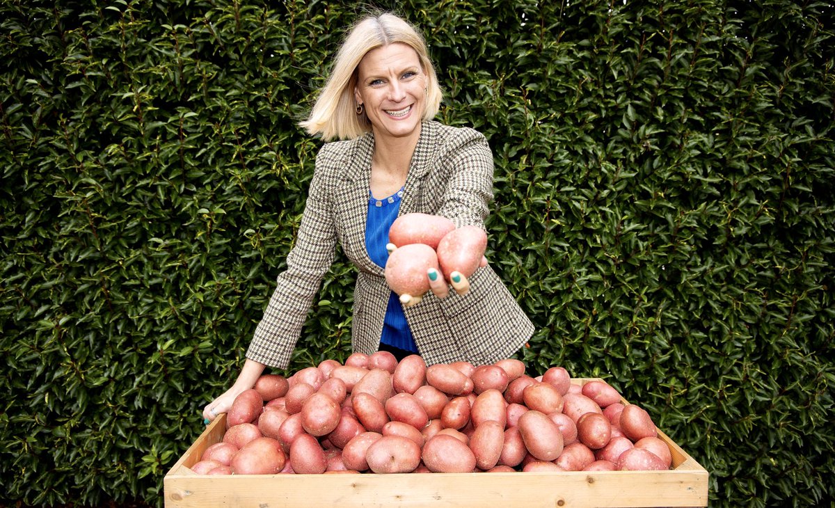 Today is #NationalPotatoDay, our annual celebration of one of Ireland’s favourite vegetables. Potatoes are nutritious and versatile, and inextricably linked to Irish culture. Select Irish grown where you can, and do your bit to support domestic potato growers. #BuyIrish #Potatoes