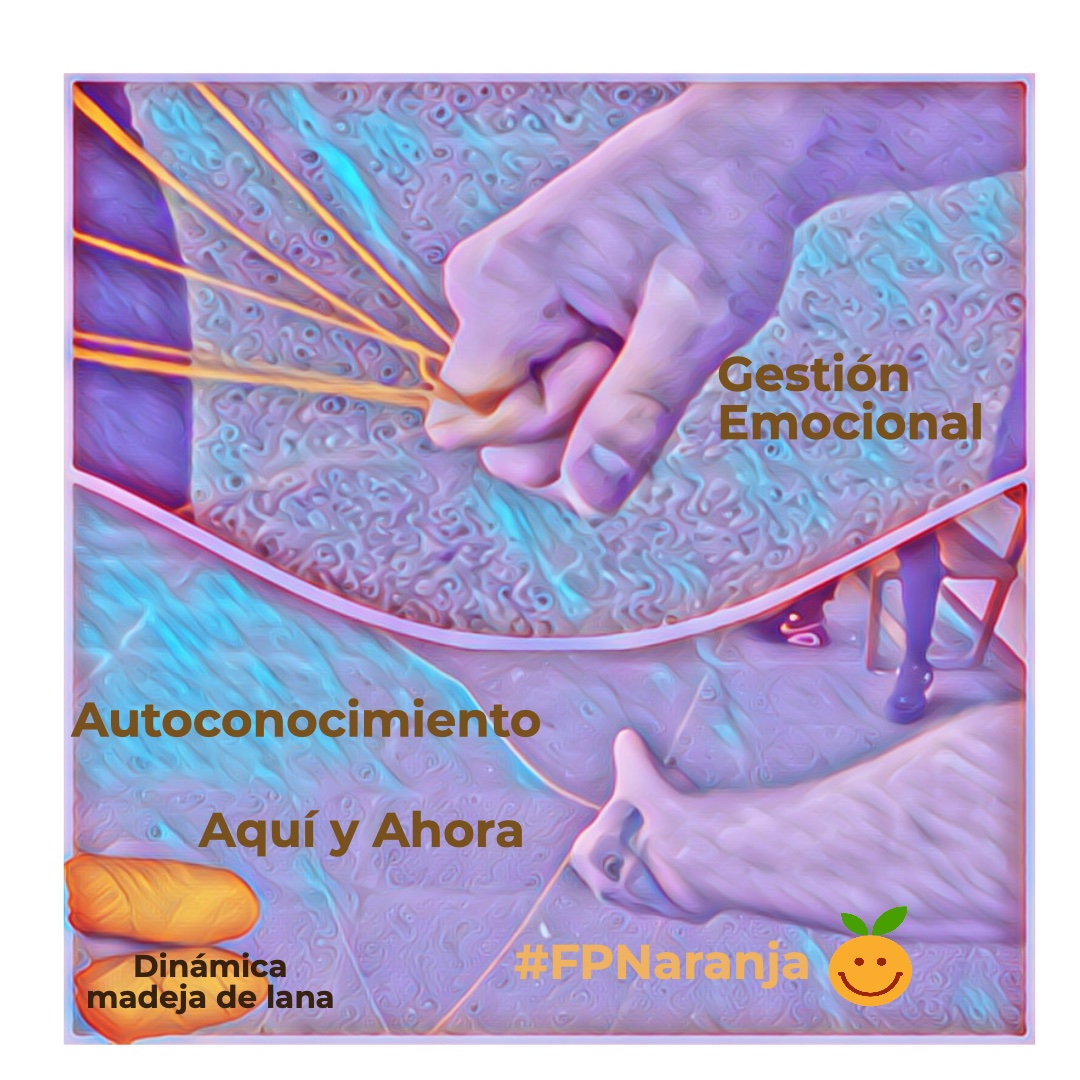 Mónica Rodríguez Nieto tweet media