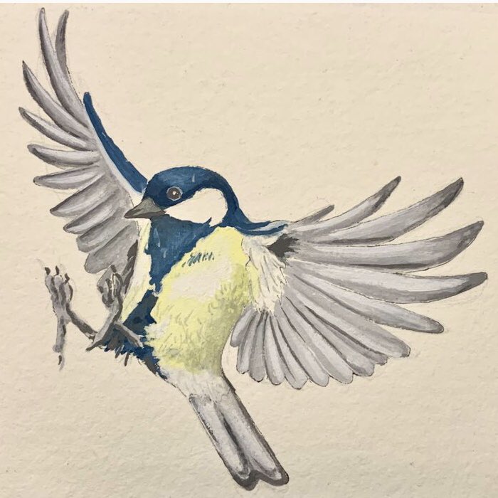 Last chance to catch the fabulous  ‘Murmuration’ exhibition by Norwich artist Tara Lucy! The exhibition runs until 2nd October.
#artexhibition #birds #birddrawings #norfolkwildlife #norfolkbirds #inkdrawing #watercolourpainting #wildlifedrawing