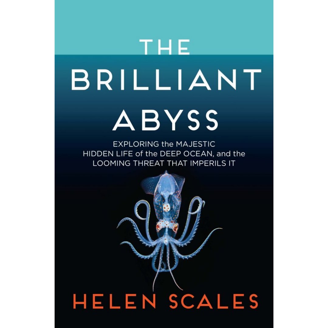 Our Friday shout out goes to <a href="/helenscales/">HS</a>. As well as providing us with scientific advice, Helen raises money for us via uk.bookshop.org when you buy her wonderful books #givingbacktothesea #letsgivebacktothesea #beaseachanger #marineconservation #fundraising