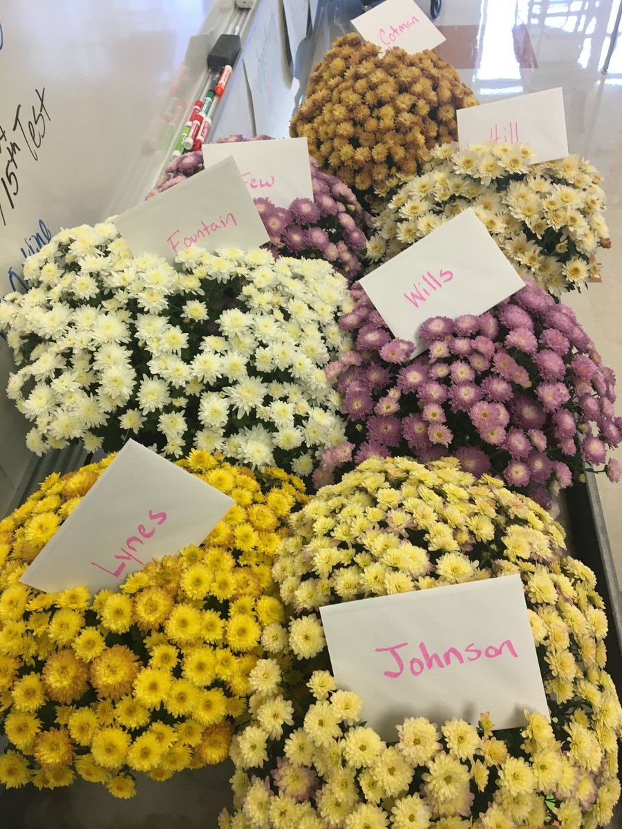 HHS IB students appreciate our custodians! #IBproud #IB4All <a href="/hhshawks03/">Hanover High School</a>