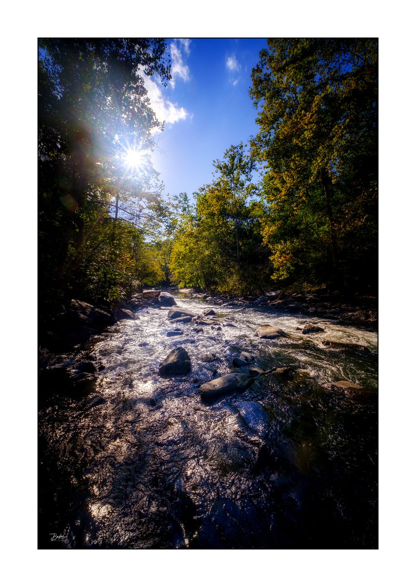 GeoffreySBaker's tweet image. Bluebird fall day at the Patapsco rapids near Ellicott City, MD.
© Geoffrey S. Baker 
Buy:
bit.ly/3hUaakv

#Patapsco
#MDinFocus
#Ellicottcity
#fujifilm
#artforsale
#asf_artists 
#flakphoto
#maryland 
#NaturePhotography
#landscapephotography
#dmvexploring
#WhenInMaryland