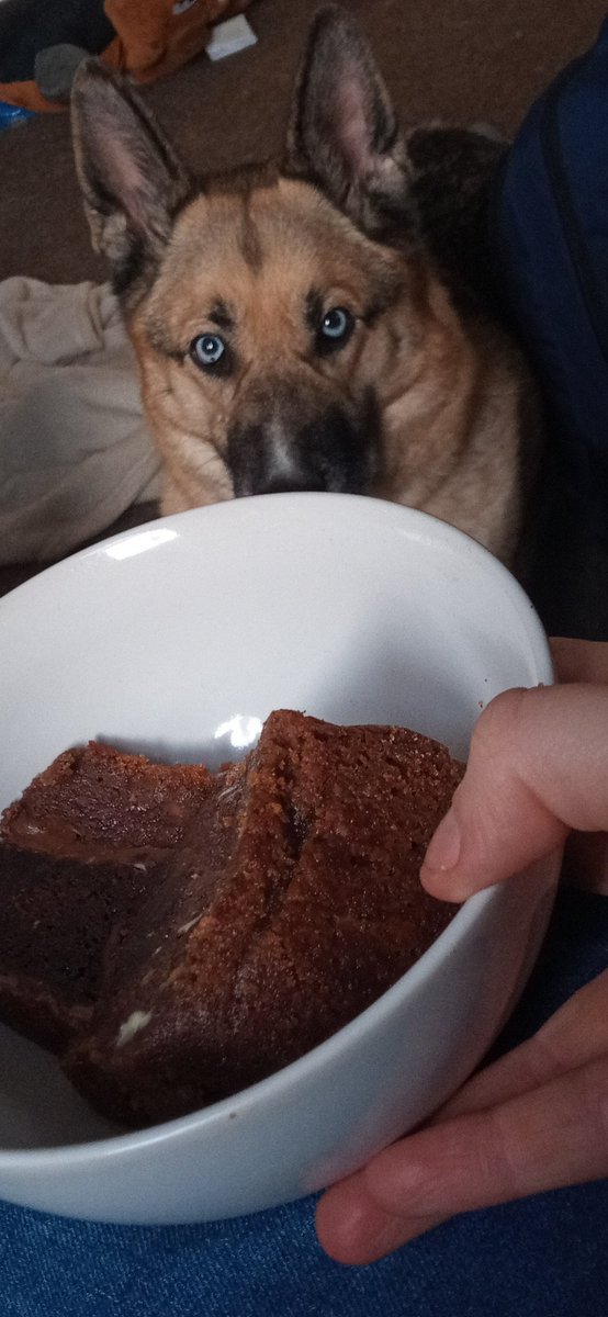 Brownie cookie pie heated up hits the spot 😍👌

*Featuring a very jealous doggo <a href="/EmzCakesWrexham/">EmzCakes</a>