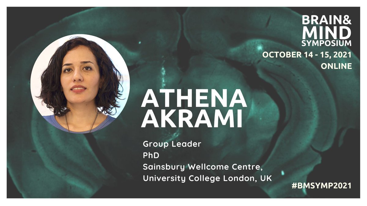 DPBrainMind's tweet photo. Among the first speakers of #BMsymp2021 will be @AthenaAkrami from @ucl @SWC_Neuro presenting another view to memory systems with her talk “The lingering past in working memory — from sensory history to optimal learning of temporal regularities”

#BiotechUH #HelsinkiHealth https://t.co/3L15hVjFIo