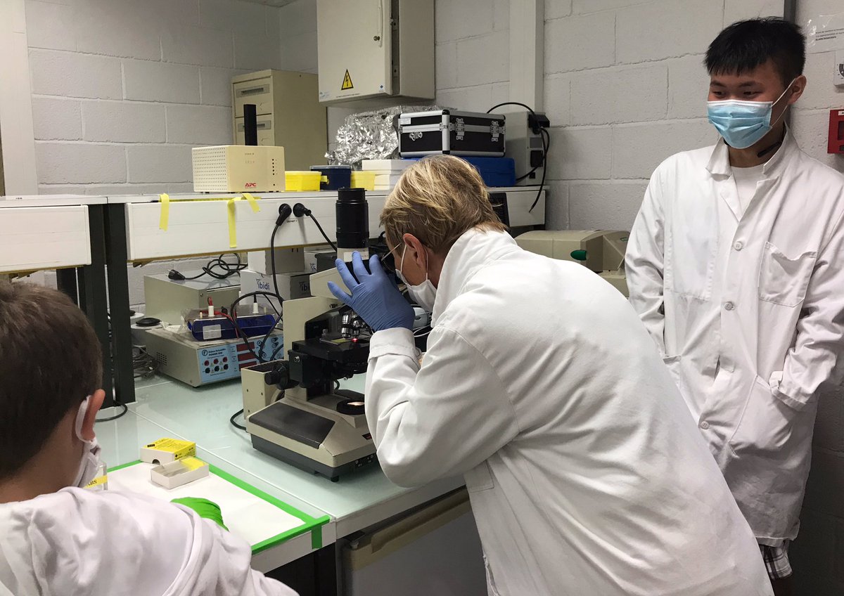 CNRS_Villejuif's tweet photo. #FDS2021 🔬 C’est parti pour la @FeteScience et les #VisitesInsolites du CNRS, jusqu’au 11 octobre !
Ce matin, le labo #B3OA a fait découvrir à ses participant•es les os sous toutes leurs coutures 🦴
@CNRS @Univ_Paris @Inserm @INSIS_CNRS @INSB_CNRS https://t.co/Mz9XRw8bjY