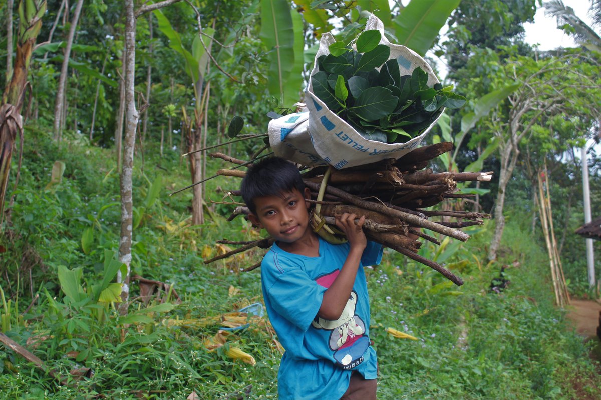 Mufidalkarimu's tweet photo. Sobat, kenalin nih, indra, bocah kecil yang hobi bantu ibunya kerja serabutan di hutan. 

Meski ditinggal alm. bapaknya, mimpinya tinggi, lebih tinggi dari pepohonan tempatnya menjemput rejeki, dengan menjadi buruh tani. https://t.co/OKVAcQLrBc