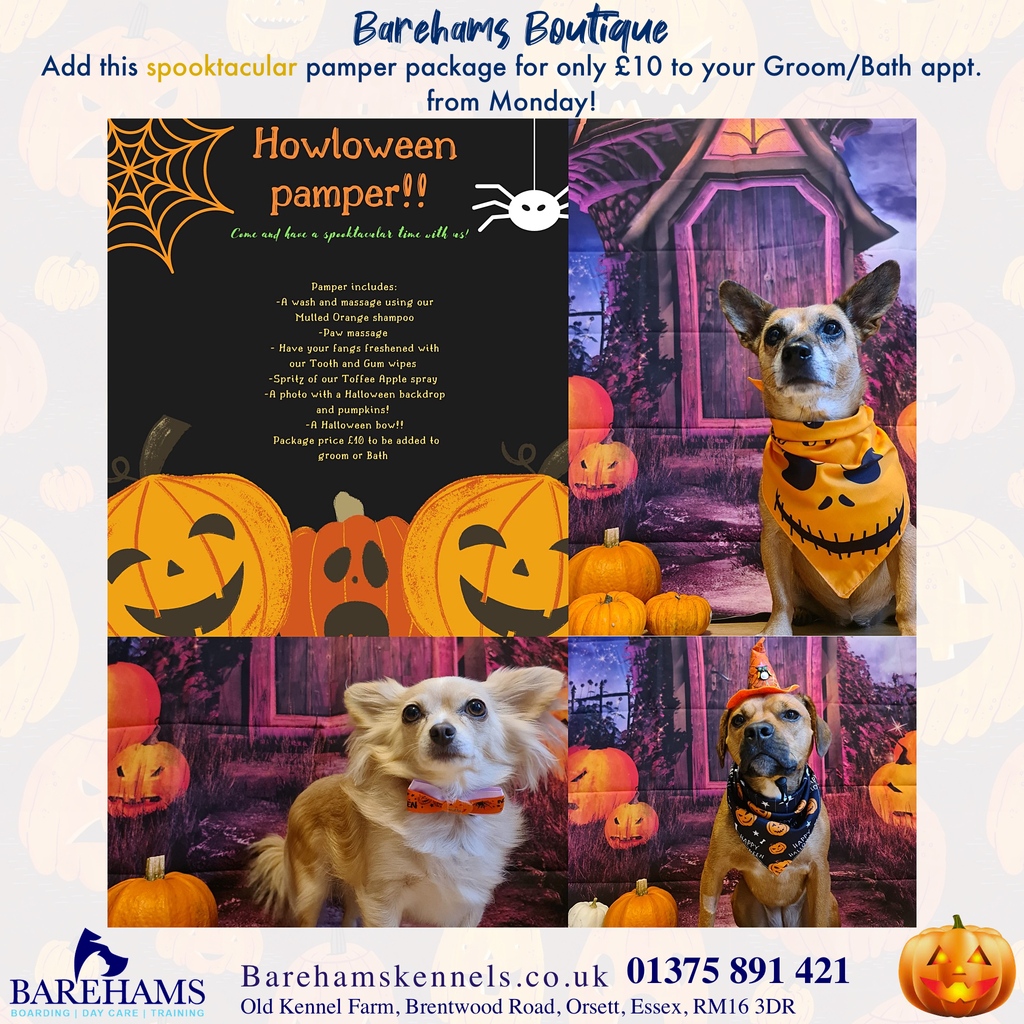 barehams dog training