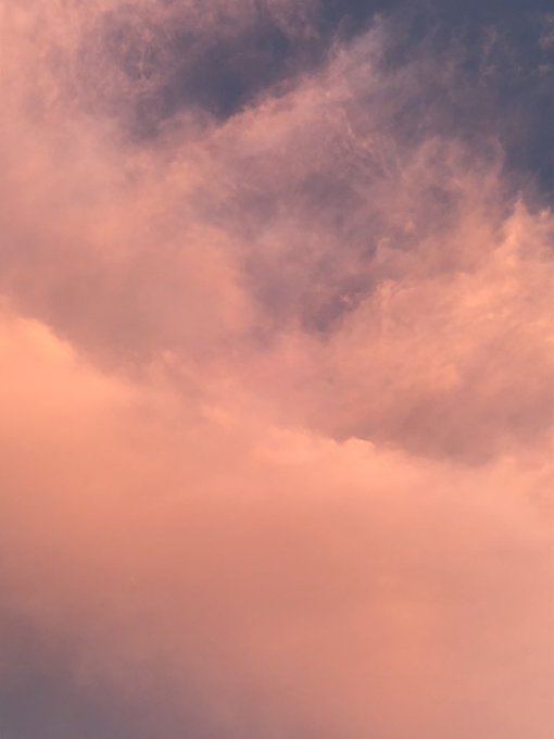 ピンクの空のtwitterイラスト検索結果