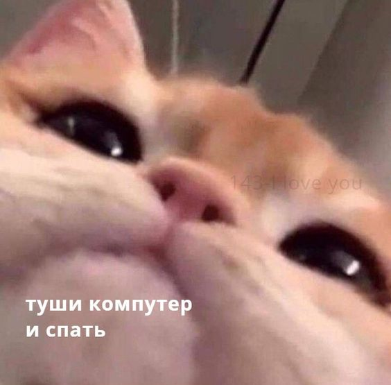 Каждую каждую ночь 
я выгляжу так
 #взаимная 
#цепочкатвиттерских 
#ЦепочкаФолловеров