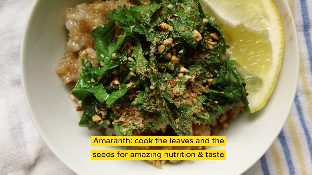 Amaranth is an instantly recognisable plant given its bright red feathery plumes of seeds. This little-known crop may not have received as much attention as other ‘ancient grains’ like quinoa or farro, but it is time for this superstar to shine!

bit.ly/3g5J3ks