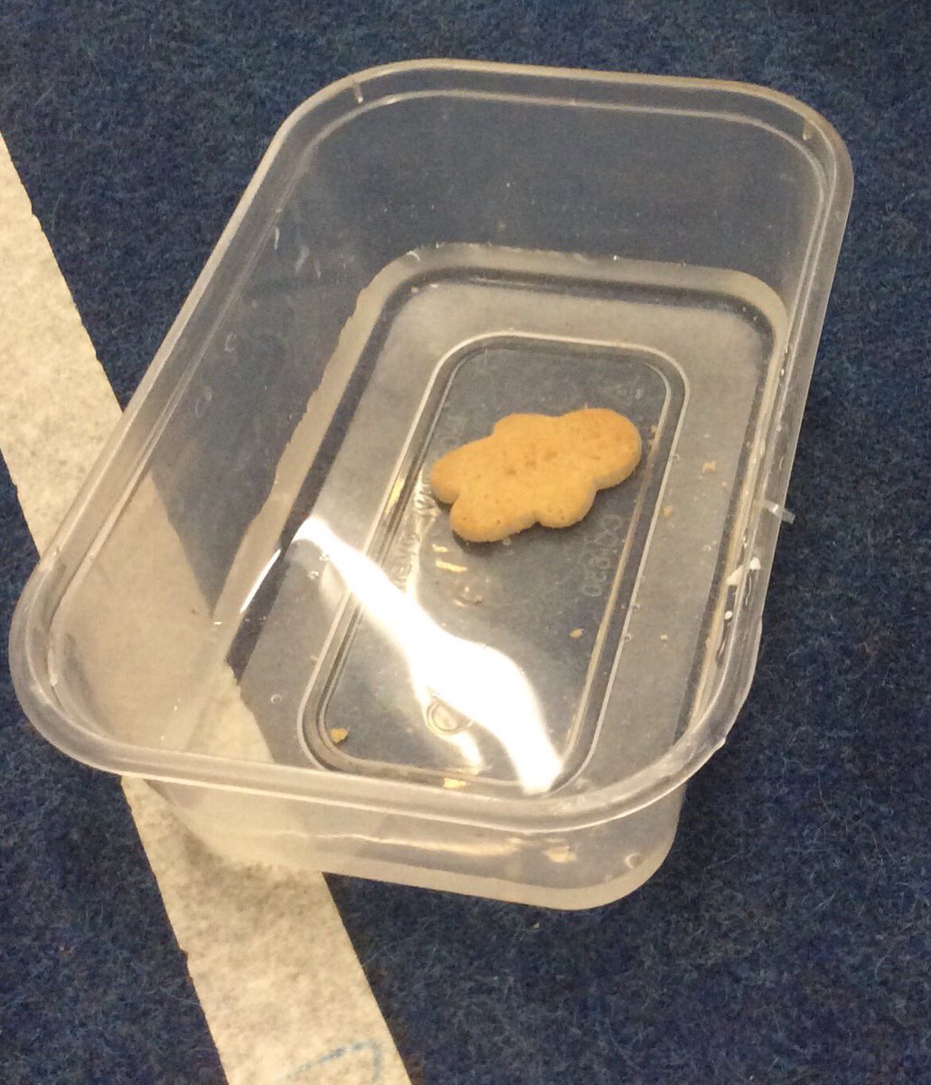 ButterflyClassR's tweet photo. And this is why the Gingerbread Man didn’t swim across the river! Brilliant discussion and ideas Butterflies! @StFaithsTweets @jane_ralphs https://t.co/qCth74wA0B