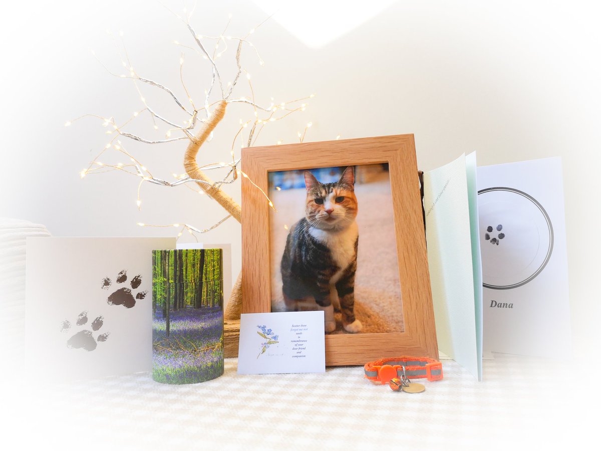 whispersmummy's tweet photo. Dana's home.
#catsofinstagram #catmummies #Cremation #grief #cat #OneOfTheFamily https://t.co/t5APGwk0ZO