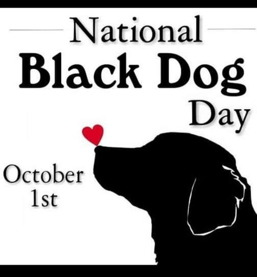 PoppyandRufus's tweet photo. https://t.co/9mHxKBABH7