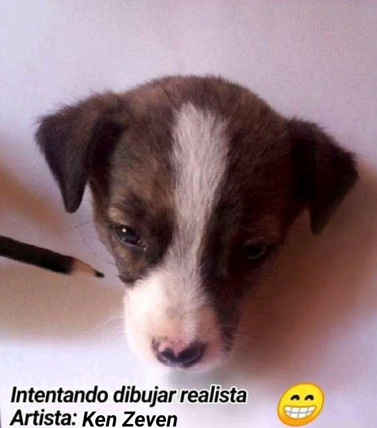 Ken_Zeven's tweet photo. Por fin terminado , q tal me quedó ? https://t.co/DzZpUSbkD2