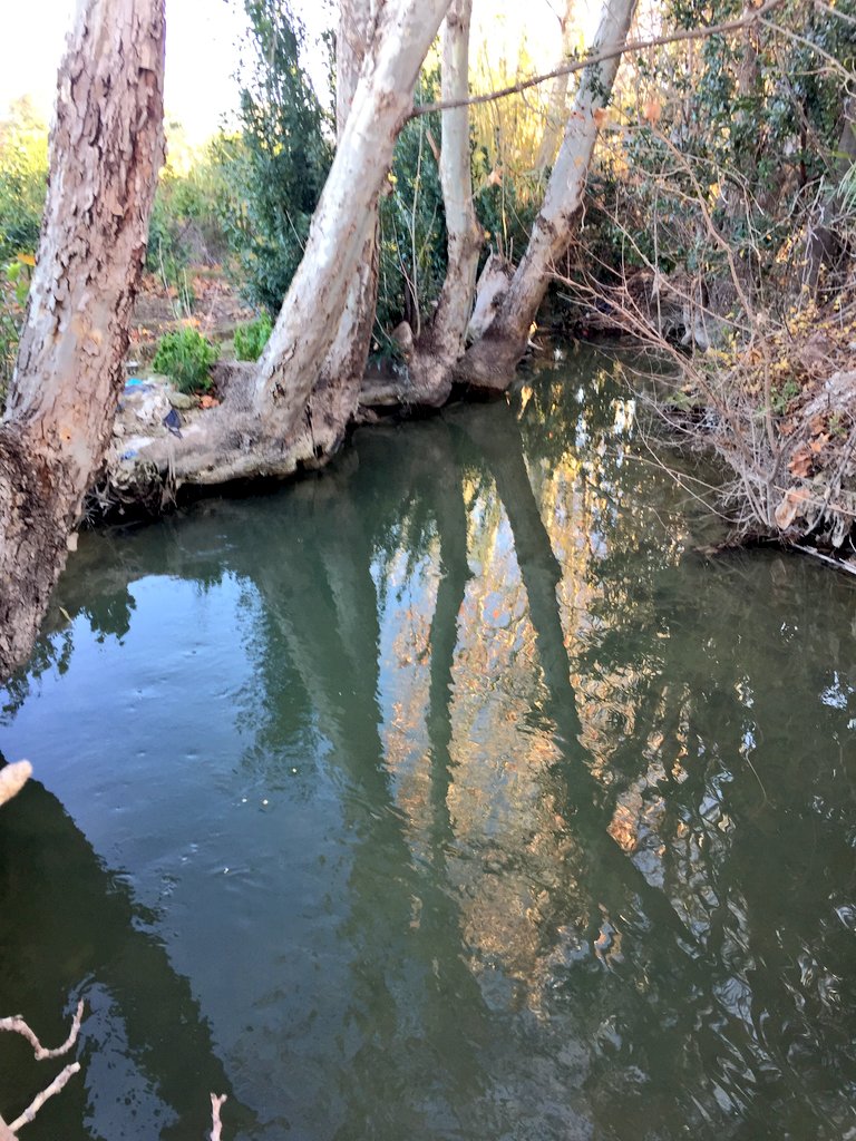 🍋 💫  S▫️O▫️R▫️T▫️E▫️O  💫 

para acompañarnos a una ruta donde ver rincones de nuestra #Huerta tan 😍 como este.                       

💥 Requisitos:💥
🔹️Seguir nuestra cuenta
🔹️RT este tuit hasta 10 octubre
🔹️Respetar y amar nuestra Huerta