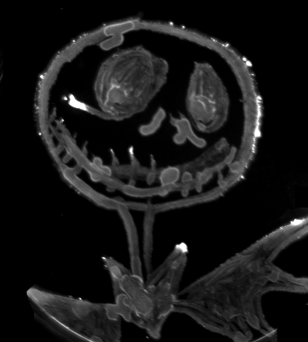 erin_rod_phd's tweet photo. 🎃💀Boys &amp; girls of every age. Wouldn't you like to see something strange? Jack Skellington painted with E. coli expressing the small Ultra-Red Fluorescent Protein (smURFP).💀🎃 #FluorescenceFriday #TheNightmareBeforeChristmas #JackSkellington #SciArt #AgarArt #SciComm https://t.co/iIZ1gW1GAd