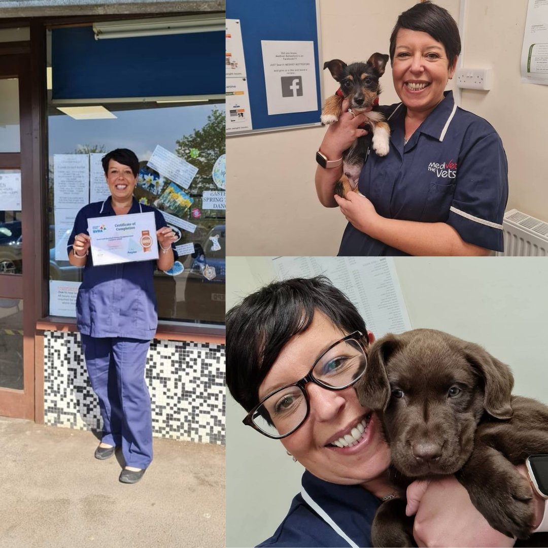 Medivet Official on Twitter "Celebrating Veterinary Receptionist