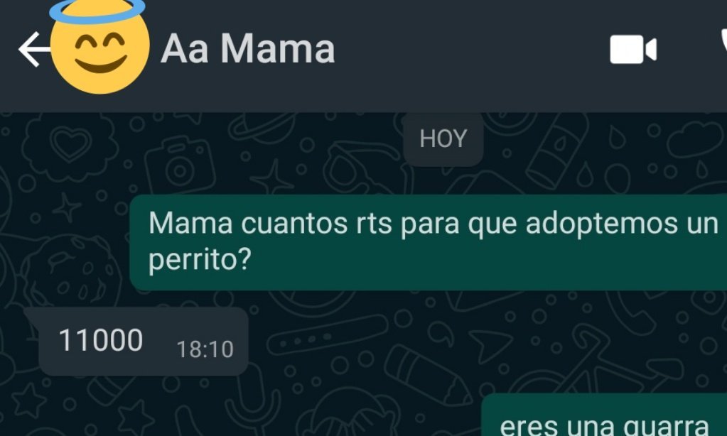 pajarraco live action tweet media
