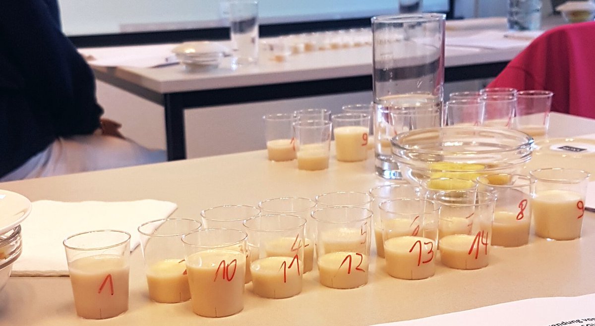 isiinsights's tweet photo. Oat drink workshop 🥛

Today, our colleagues and panel members are testing more than 70 different #oatdrinks from different brands and cluster them according to their sensory profiles. We are very excited to see the results in 2-3 weeks, you too? https://t.co/Hu8Ac08Me2