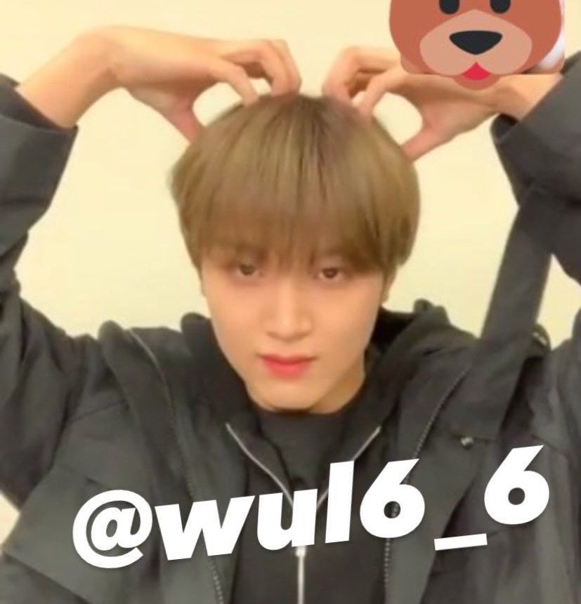 noxx_nox's tweet photo. ��찬이 곰돌이귀 컬렉션ㅠㅠㅠ너무귀여워ㅜㅜㅜㅜ https://t.co/WGsedLrx3K