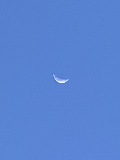 sokamoto's tweet photo. Good morning, Columbus! Another pretty morning with the waning crescent moon at 27.1% in a partly cloudy sky. #ColumbusGA #mydailyphoto #goodbyeSeptember #helloOctober #2021project #coolbuthumid #nobreeze #birdswakingup #cicadasdisapearing #neighborsdogsquiet #mymoonobsession https://t.co/NTJpotInYc