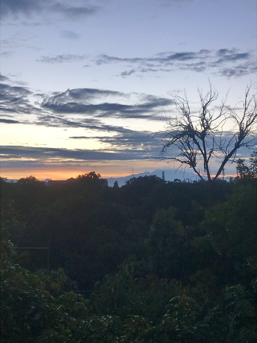 luiscampollo_'s tweet photo. La vida se va, se está yendo ahora mismo, y yo no puedo soportar esa sensación de escape, de acabamiento, de final. 

M. Bennedetti. ☕️ https://t.co/0yGBLXzoZX