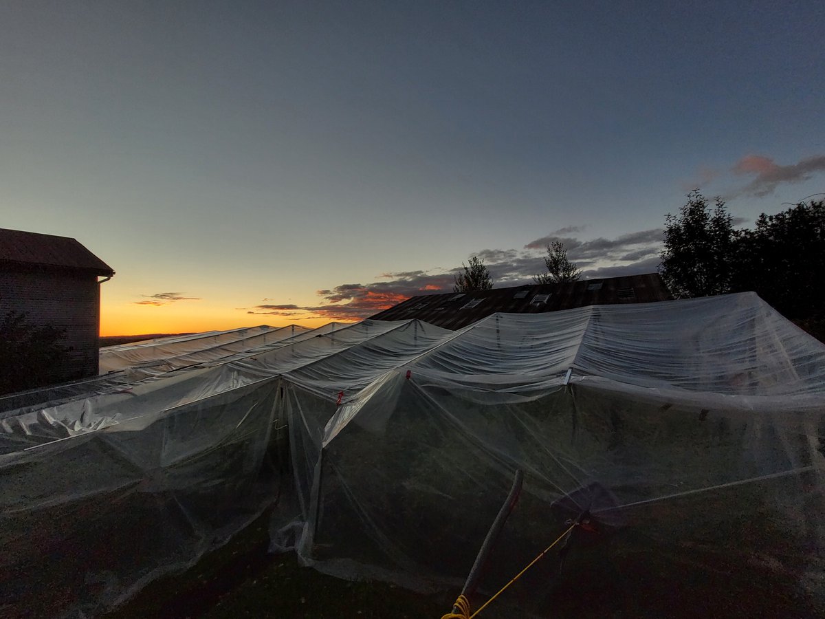 WillowWeedFarm's tweet photo. "Why did we name ourselves Willow Weed?"
1. It is the middle name of our founder, Jacob Willow Spiro. 
2. It is the name of our farm, Willow Pond Farm.
3. The alliteration duh...
4. Our business model is similar to a Willow Tree- flexible with strong roots that are disruptive. https://t.co/4dvRZPcz4N