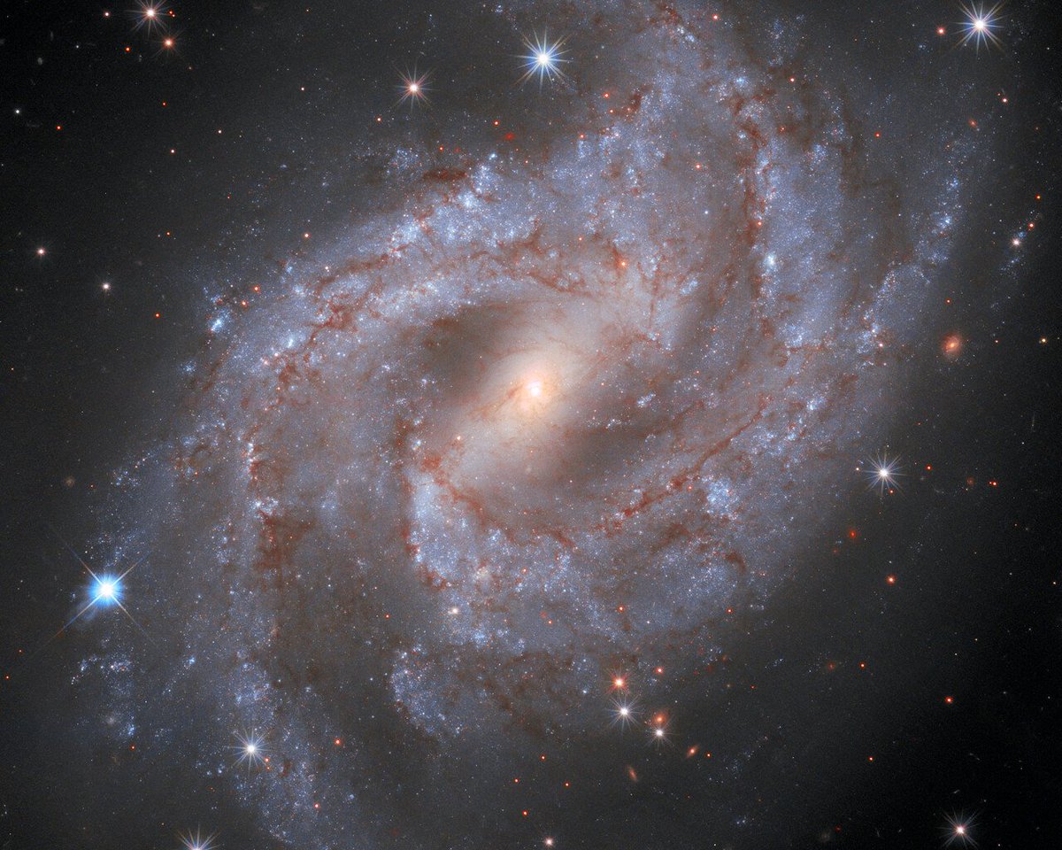 NGC 2525 #Galaxy by <a href="/NASAHubble/">Hubble</a>