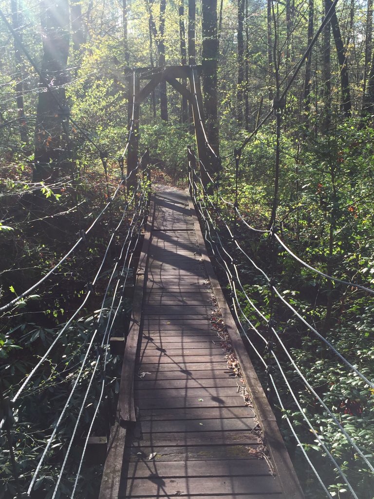 SCacalacky's tweet photo. @publiclandlvr A bRidge on the Foothills Trail (SC) https://t.co/eonQIp1FGp