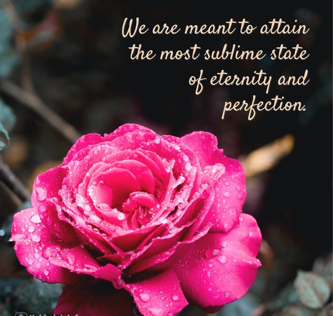 Roseinmygarden1's tweet photo. We are meant to attain the most sublime state of eternity and perfection.
#wisdomquote #istaquote #attaining #eternity #perfection https://t.co/0huOg7hLTa