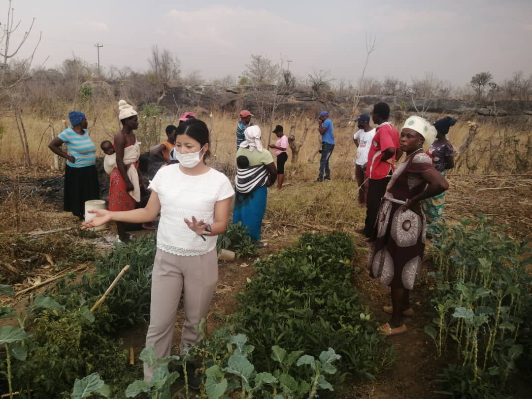 4-H Zimbabwe in conjuction with the Japanese Embassy